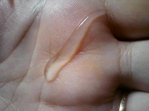 λίπανση για να διεγείρει